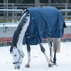 EQuest Ontario ll Vinterdkken 320g Navy