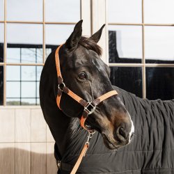 Kentucky Flettet Nylon Grime Orange