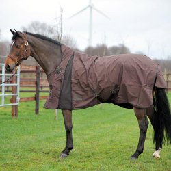 EQuest Uded�kken Nova Scotia Navy 0g