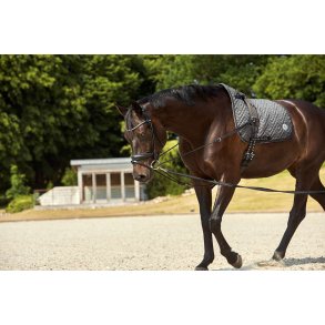 Horse Guard Trepunktstjle Sort