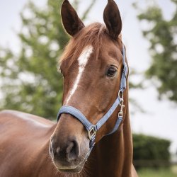 Waldhausen Perlon Satin Grime Pastel Blue