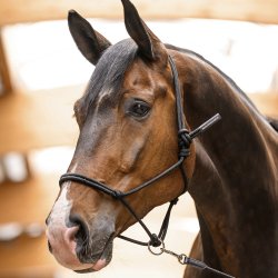 Waldhausen Rebgrime Sort