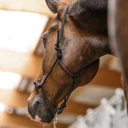 Waldhausen Rebgrime Sort