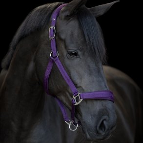 Horse Guard Diya 2.0 Grime Italian Plum