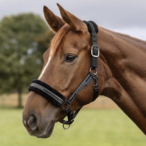 Waldhausen Elegant Grime m. sten Sort