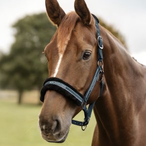 Waldhausen Elegant Grime m. sten Petrol Blue