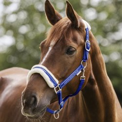 Waldhausen Elegant Grime m. Sten Saphireblue