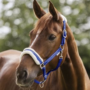 Waldhausen Elegant Grime m. Sten Saphireblue