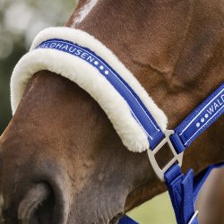 Waldhausen Elegant Grime m. Sten Saphireblue