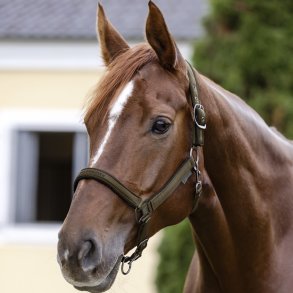 Waldhausen Athletic Grime Green Brown