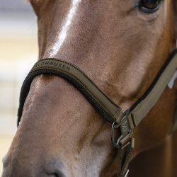 Waldhausen Athletic Grime Green Brown