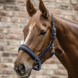 Waldhausen Mesh Grime Night Blue