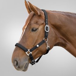 Waldhausen Trinidad Grime Sort