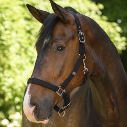 Waldhausen Trinidad Grime Sort