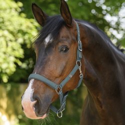 Waldhausen Trinidad Grime Pine Green