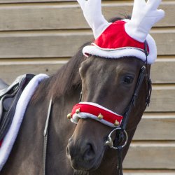 QHP Christmas Rensdyr Hut R�d