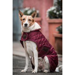 Kentucky Hundedkken Bordeaux (160g)