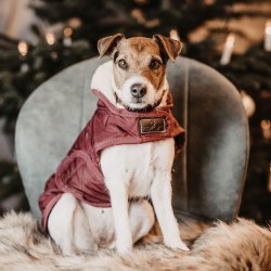 Kentucky Hundedkken Bordeaux (160g)