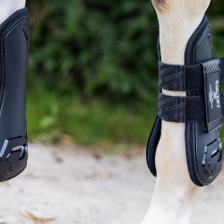 EQuest Xpert Gamacher Mocha