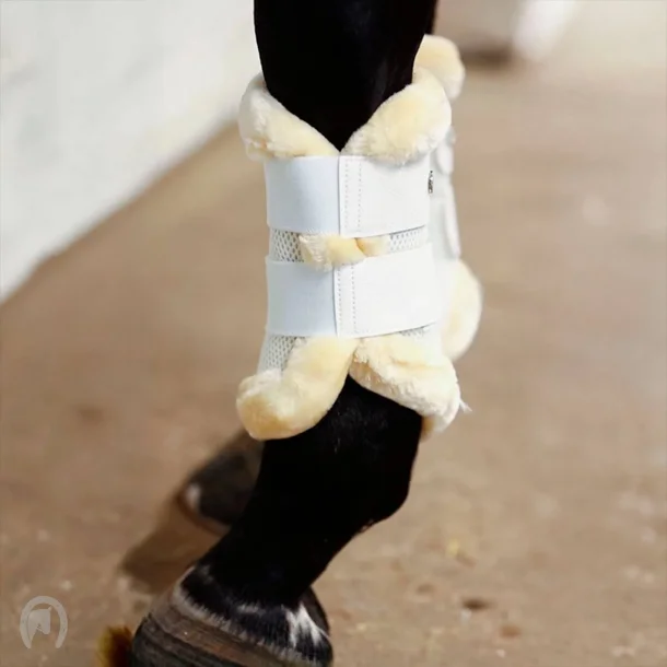 EQuest Airflow Mesh Illusion Gamacher Hvid