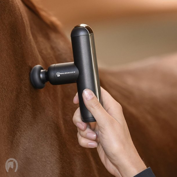 Waldhausen Health + Care PocketRelax Massage Device