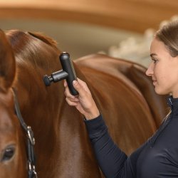 Waldhausen Health + Care PocketRelax Massage Device