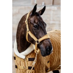 Kentucky Velvet Grime Mustard