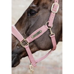 Kentucky Velvet Grime Old Rose