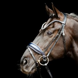 Schockem�hle Luxury Dressage Trense Sort/Bl� lak Og Sten