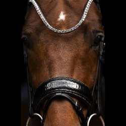 Schockem�hle Luxury Dressage Trense Sort/Croco Og Sten