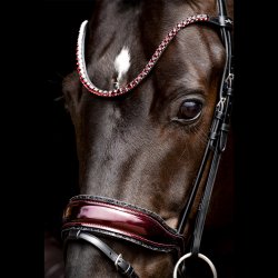 Schockem�hle Luxury Dressage Trense Sort/Wine lak Og Sten