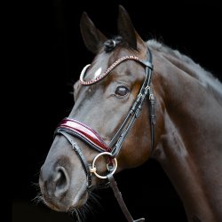 Schockem�hle Luxury Dressage Trense Sort/Wine lak Og Sten