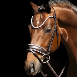 Schockem�hle Luxury Dressage Trense Espresso/Toffee Lak Og Sten