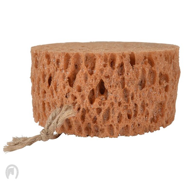 Borstiq Farm Grooming Svamp Rund 