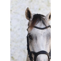 Montar Trense Monarch Jumping ECO Leather Brun