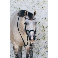 Montar Trense Monarch Jumping ECO Leather Sort