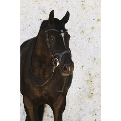 Montar Trense Monarch Jumping ECO Leather Brun