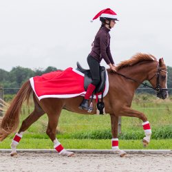 QHP Christmas L�ndet�ppe R�d 