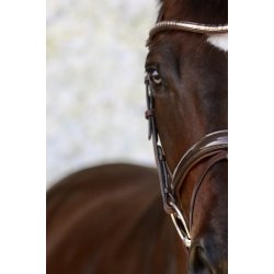 Montar Trense Normandie Deluxe ECO Leather Brun