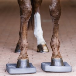 Waldhausen Health + Care Balance Pads