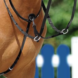 Passier Running Martingal Onesize Sort