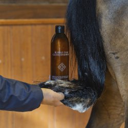 Kentucky Grooming Deluxe Bubble Gum Gloss Shampoo 500ml