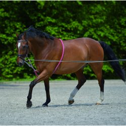 Waldhausen Softlonge Sort