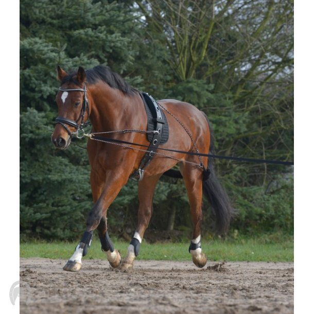 Waldhausen Pessoa longeringsystem Pony/cob