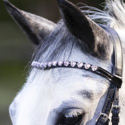 Waldhausen Happy Harts Trense Sort