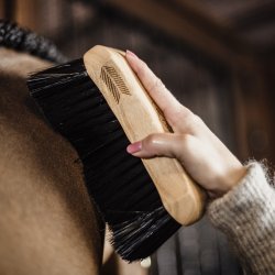 Kentucky Body Brush Middle Hard