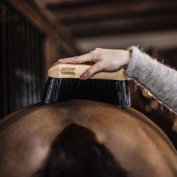 Kentucky Body Brush Middle Hard