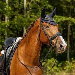QHP Glitter Trense Sort