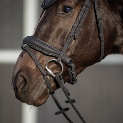 QHP Glitter Trense Sort