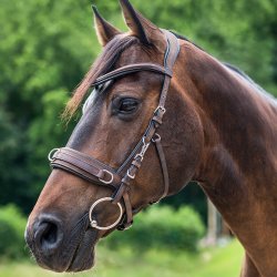 Waldhausen Anatomtisk Kapsun Sort